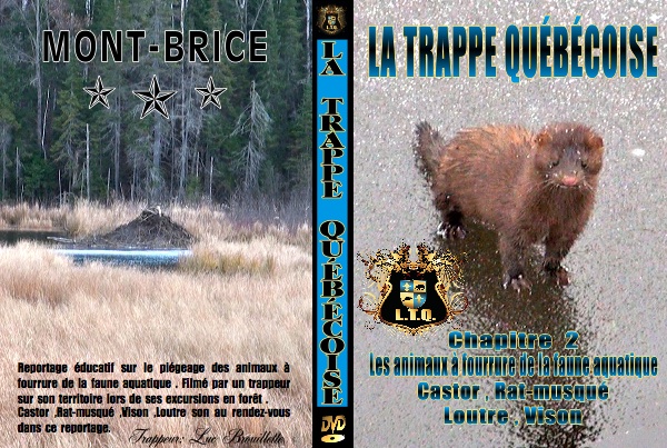 Pochette du DVD volume 2 — les animaux à fourrure de la faune aquatique
